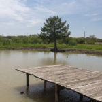 The dock at Parker's Pond